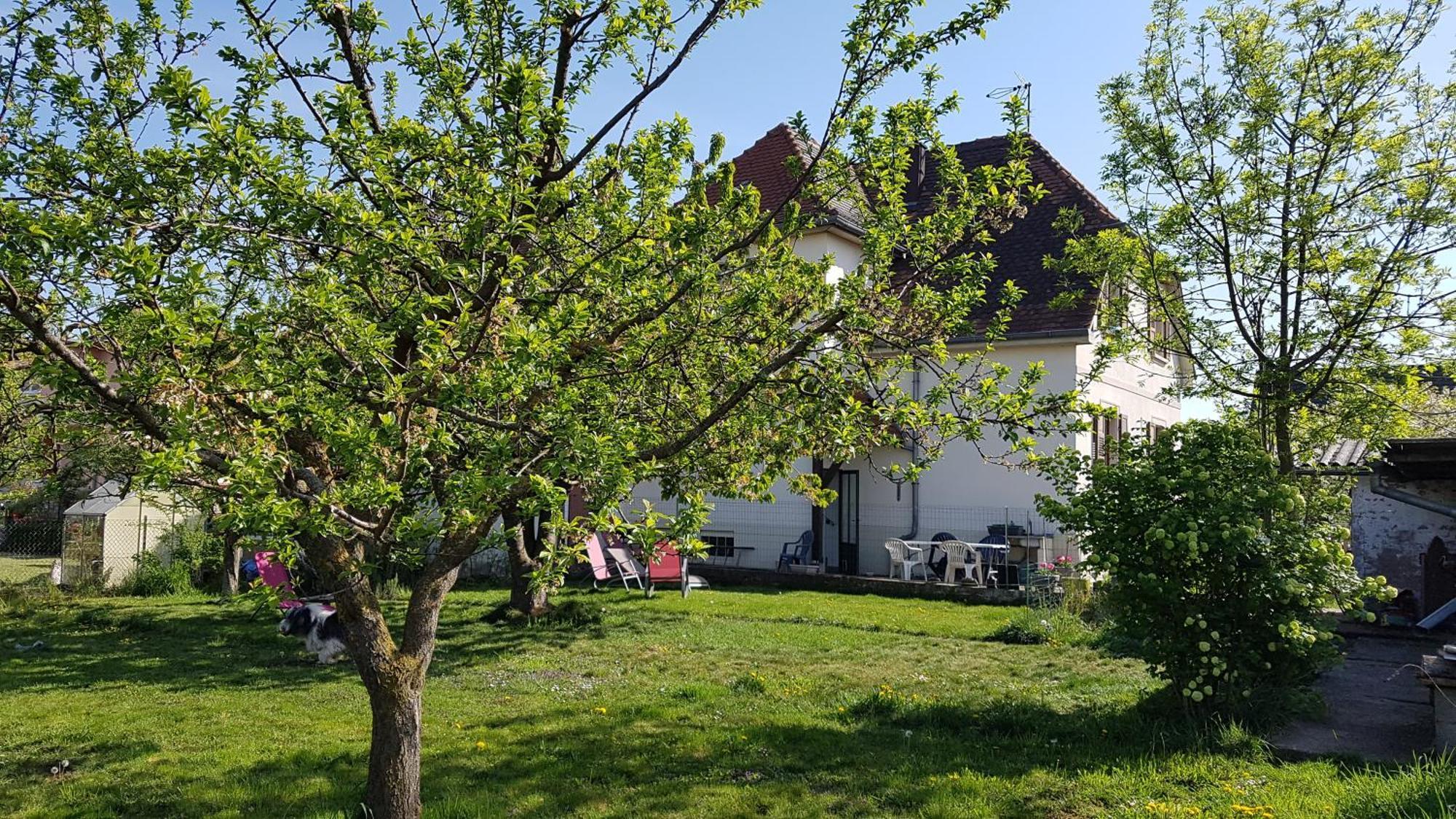 Maison Les 3 Roses Wolfisheim 外观 照片
