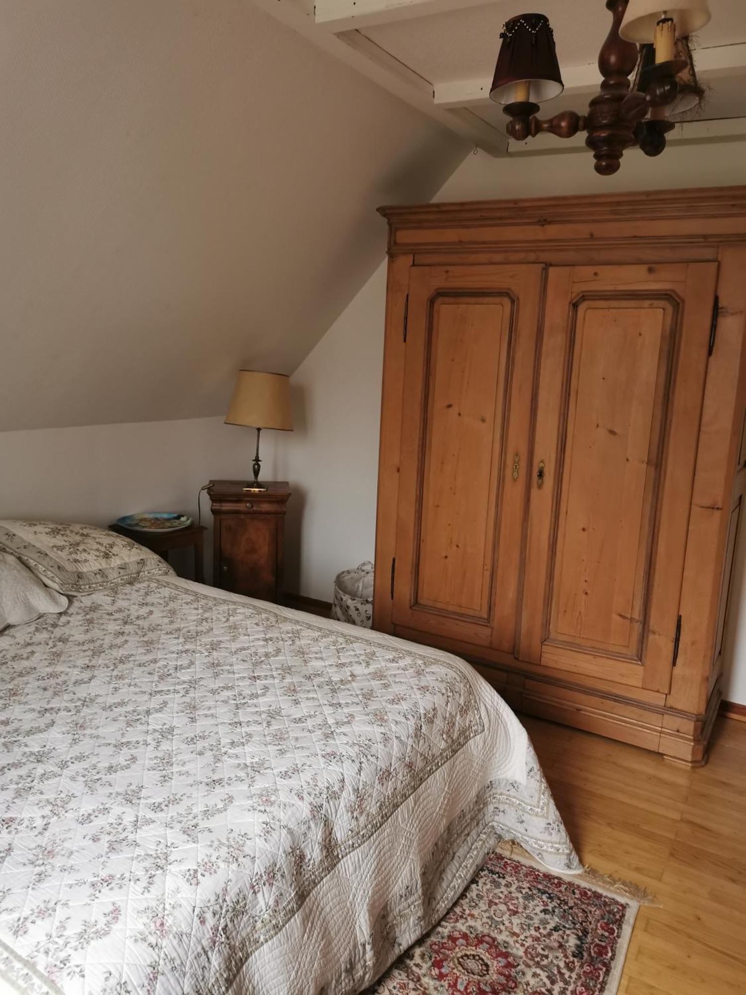 Maison Les 3 Roses Wolfisheim 外观 照片