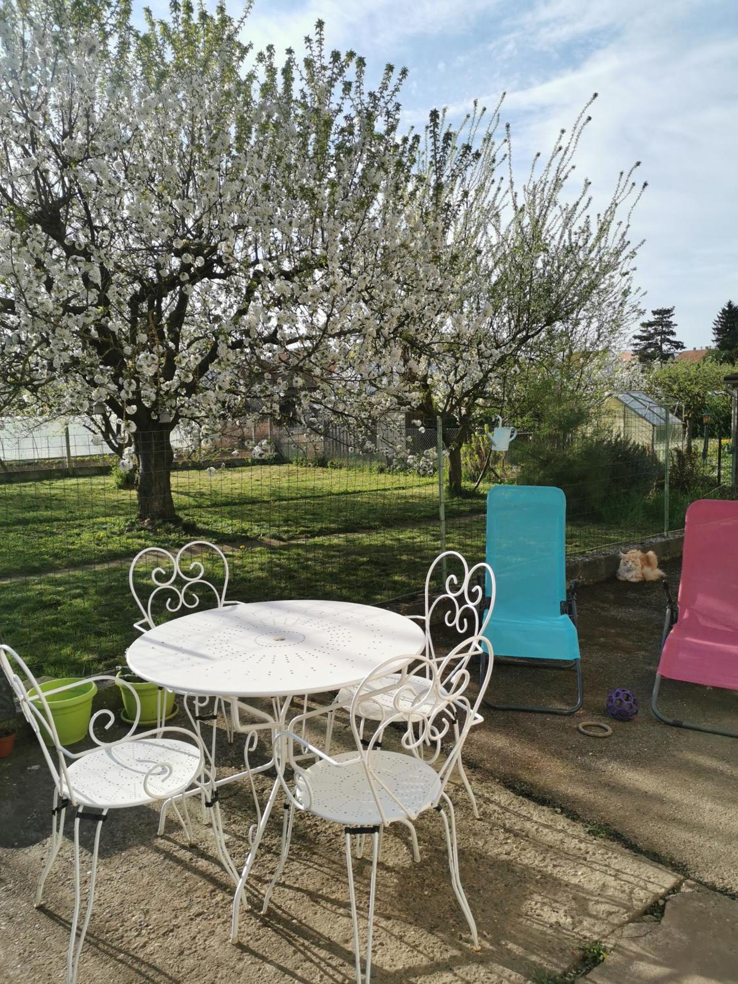 Maison Les 3 Roses Wolfisheim 外观 照片